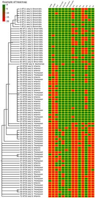 Prevalence and Antimicrobial Resistance of Salmonella Isolated From Dead-in-Shell Chicken Embryos in Shandong, China